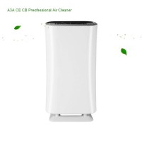 Top Ten Portable Anion Airpurifier Ionic Ventilation Air Purifier With True Hepa Filter